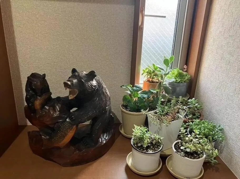Apartment 江ノ島home Fujisawa